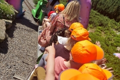 IMG-20230601-WA0129