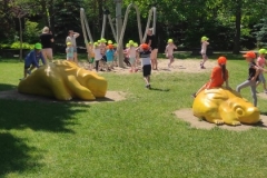 IMG-20230601-WA0222