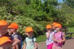 IMG-20230601-WA0242