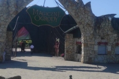 IMG-20230609-WA0167