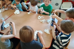 Zdjęcie-WhatsApp-2024-03-05-o-14.06.04_3f66d8f9