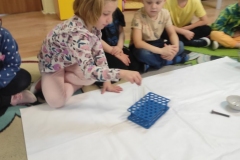 IMG_20221107_090950