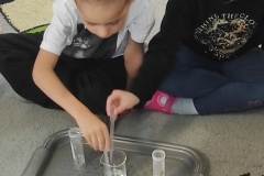 IMG_20221107_092649