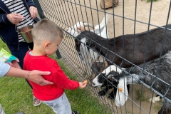 IMG-20230609-WA0175