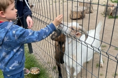 IMG-20230609-WA0177