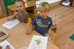 IMG-20251116-WA0013
