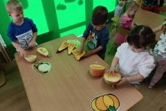 IMG-20251124-WA0172