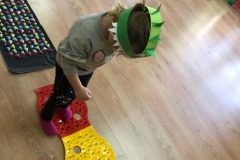 received_2756414821331038