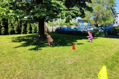 IMG-20230609-WA0214