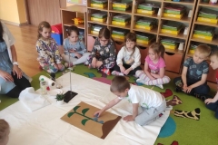 Zdjęcie-WhatsApp-2023-05-12-o-21.30.12