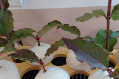 9e0290c0-5dad-47e3-953d-9500c8217cb2