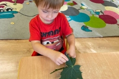IMG-20220930-WA0118