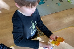 IMG-20220930-WA0125