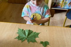 IMG-20220930-WA0145