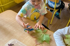 IMG-20220930-WA0181