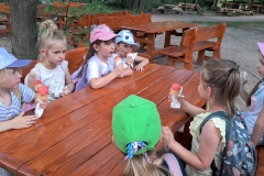 IMG-20260624-WA0206