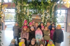 IMG_20221117_122334