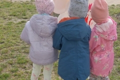 IMG-20260326-WA0253