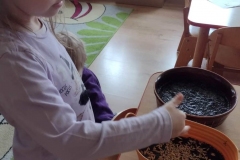 received_513985973785523