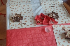 IMG-20251218-WA0070