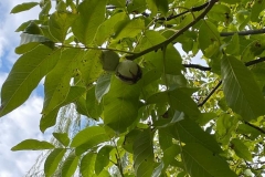 IMG-20220930-WA0250