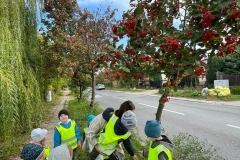 IMG-20220930-WA0258