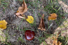 IMG-20220930-WA0282
