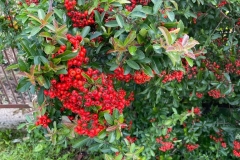 IMG-20220930-WA0313