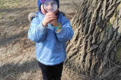 IMG_20220319_063921