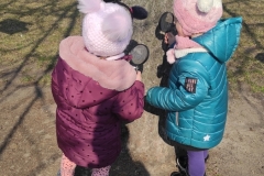 IMG_20220319_064246