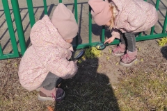 IMG_20220319_064405