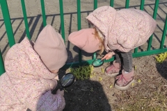 IMG_20220319_064416