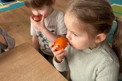 IMG-20260222-WA0111