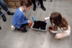 IMG-20230401-WA0025