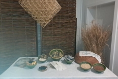 IMG-20251209-WA0242