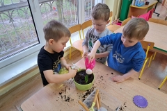 IMG-20240313-WA0021