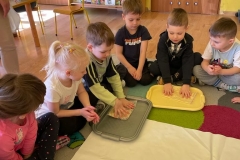 IMG-20230416-WA0123
