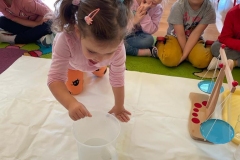 IMG-20221011-WA0091