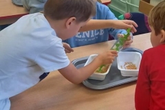 IMG-20221011-WA0247