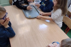 IMG-20221013-WA0043