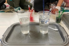 IMG-20221210-WA0251