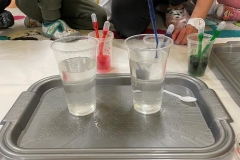IMG-20221210-WA0252
