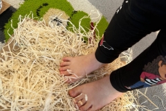 IMG-20240218-WA0028